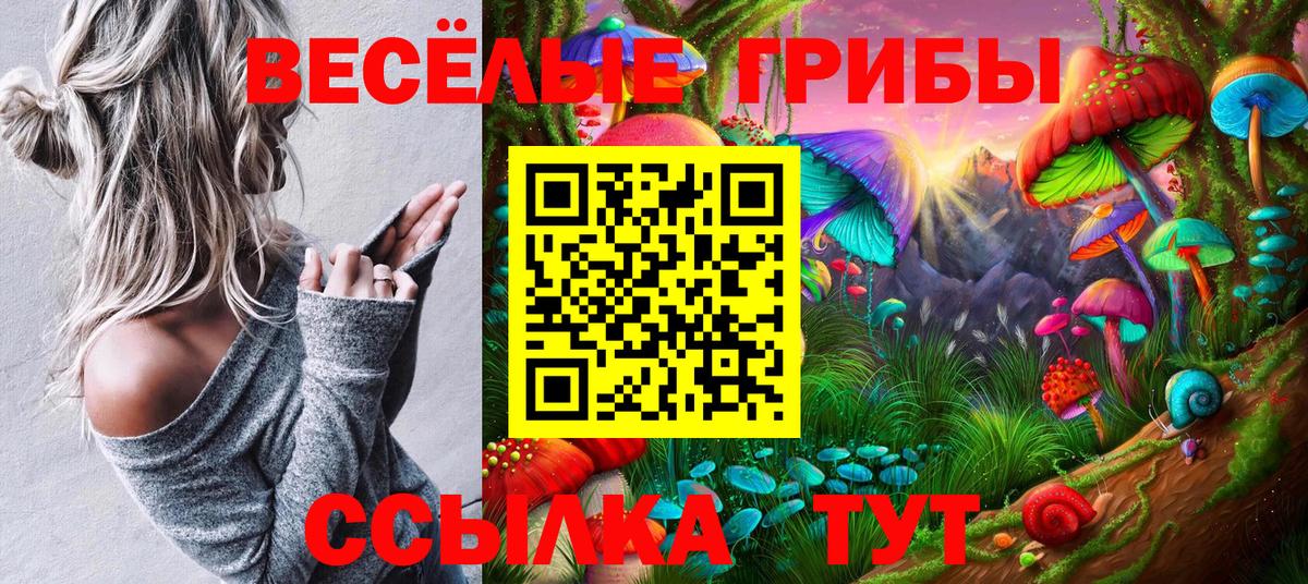 Псилоцибиновые грибы мухоморы  Вход с VPN  Псилоцибиновые грибы Cubensis  Тихорецк 