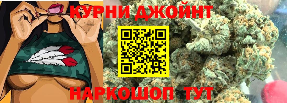 Каннабис сатива Тихорецк